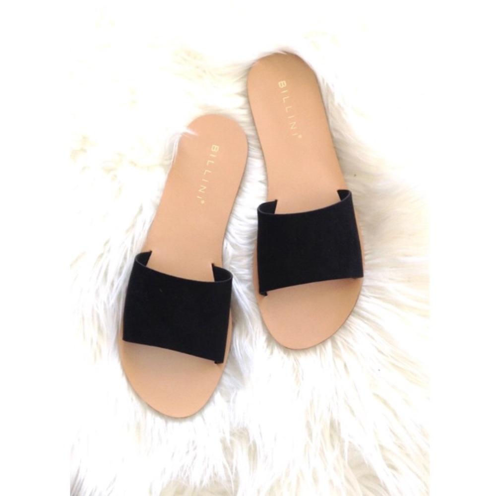 Billini slides